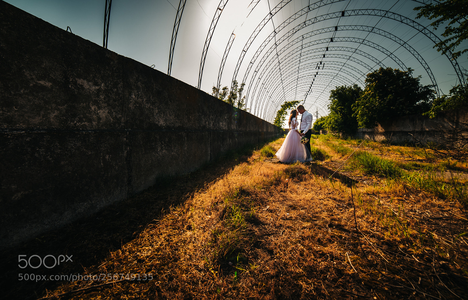Nikon D810 sample photo. D@s photography