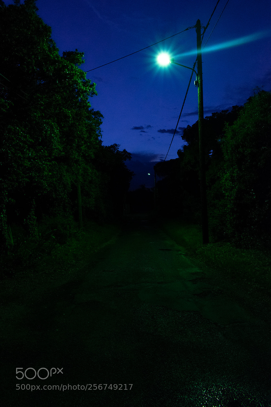 Nikon D3300 sample photo. Shadow down the road photography