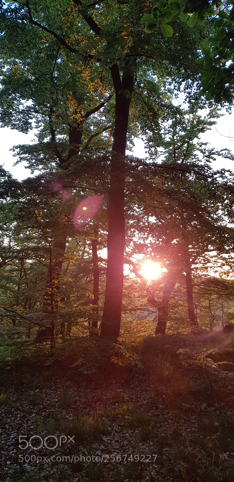 Samsung Galaxy S8 sample photo. Sonnenuntergang elfengrotte photography