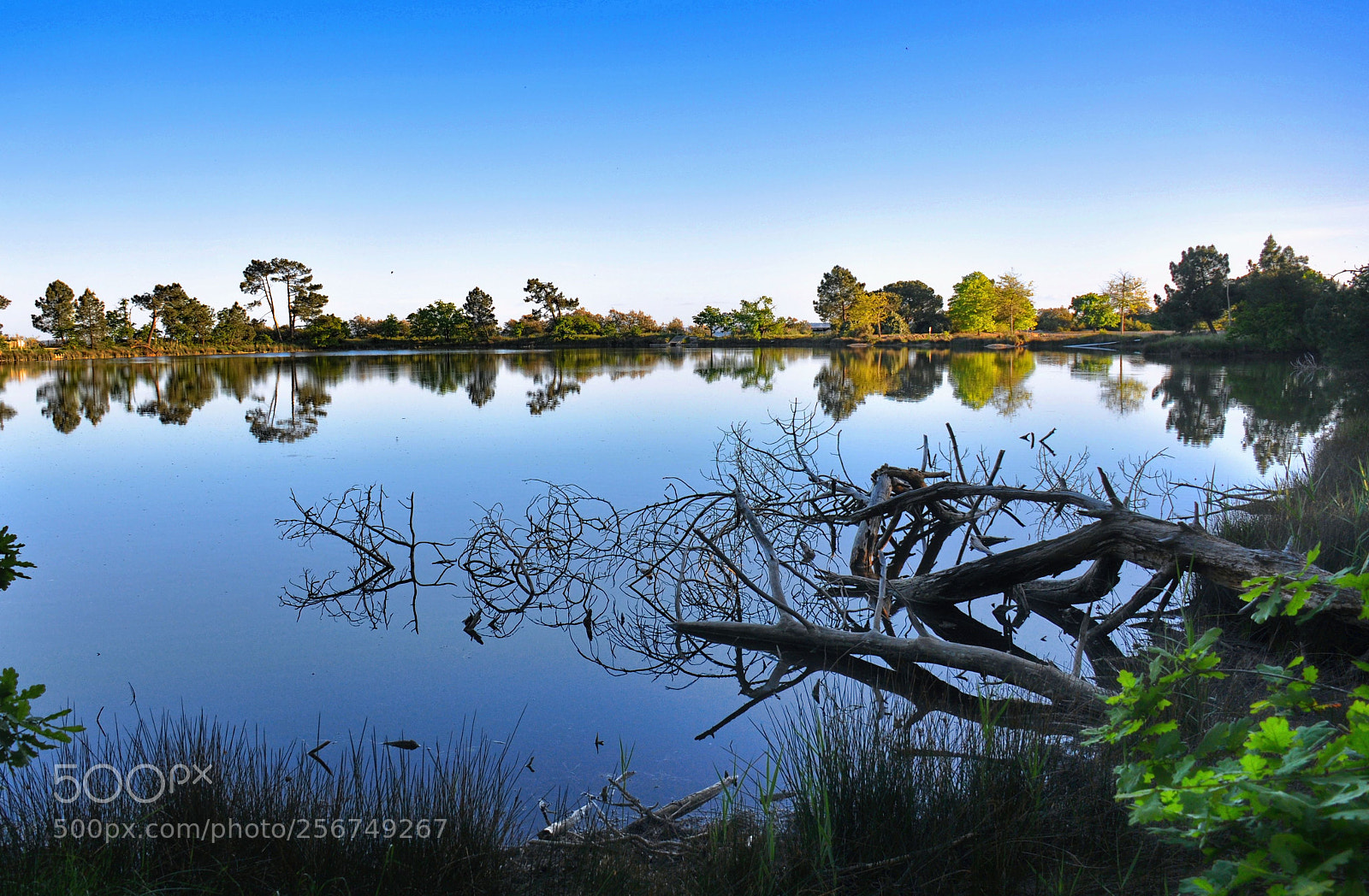 Nikon D90 sample photo. Lake reflection photography