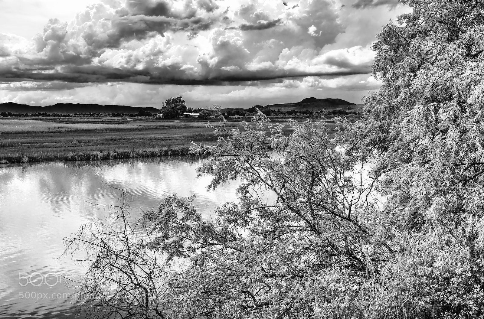 Pentax K-3 sample photo. Spring? photography