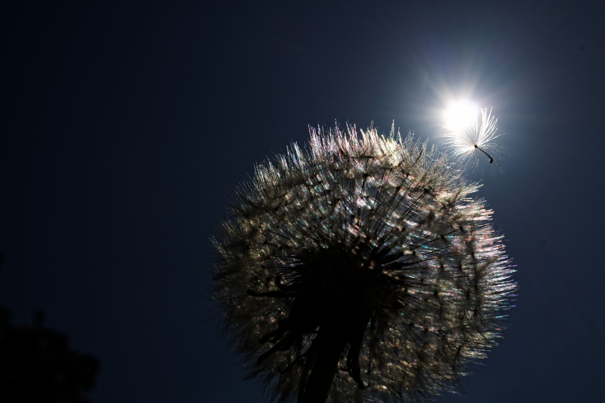Canon EF-S 24mm F2.8 STM sample photo. .... photography