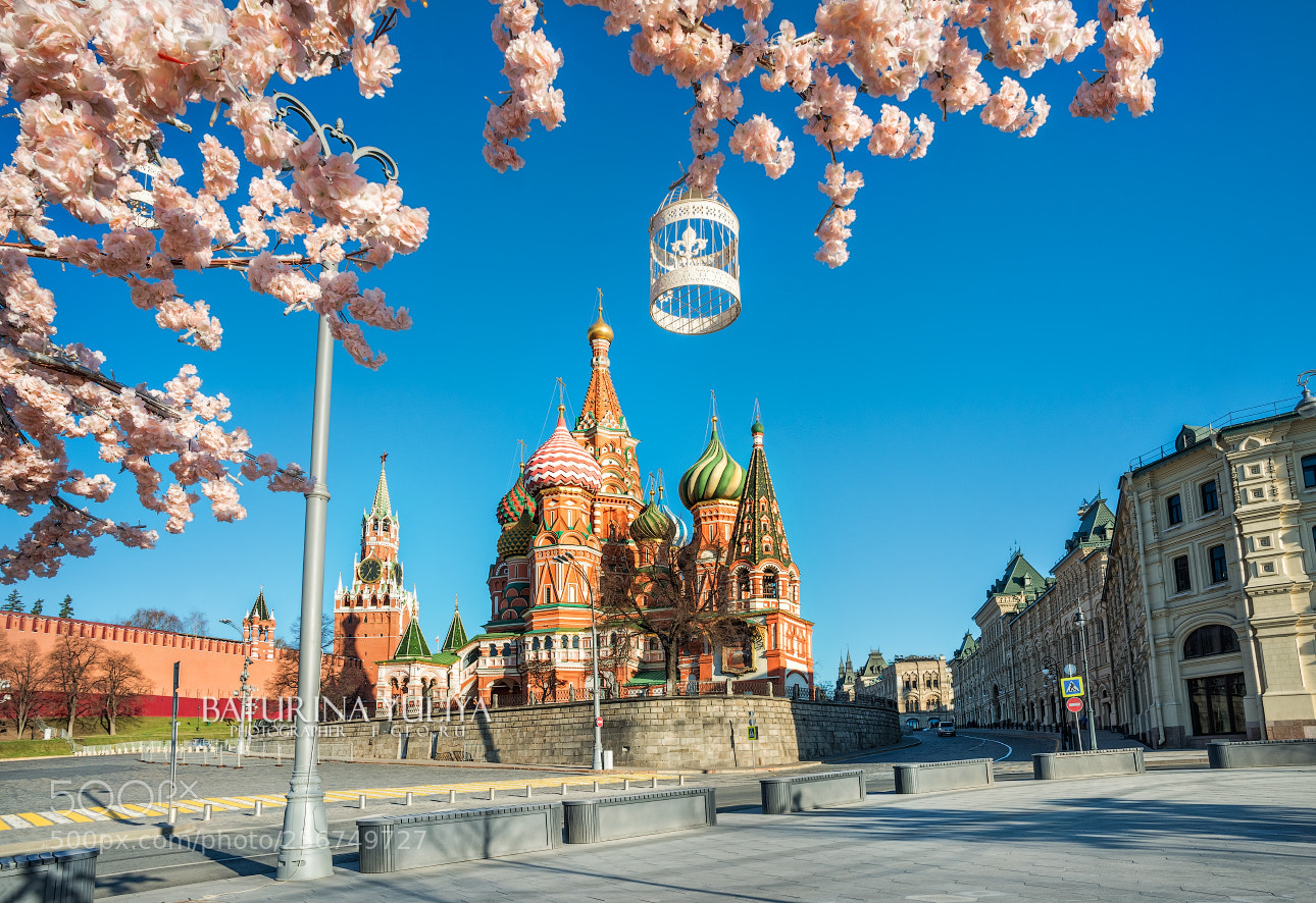 Nikon D800 sample photo. St. basil's cathedral and photography