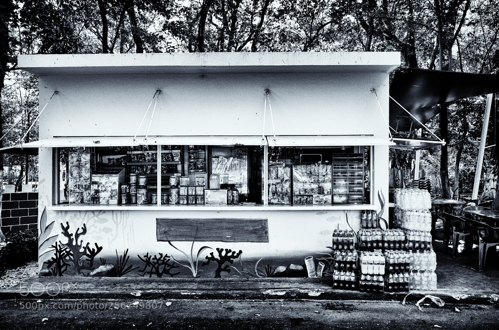 Ricoh GR sample photo. Ready for business photography