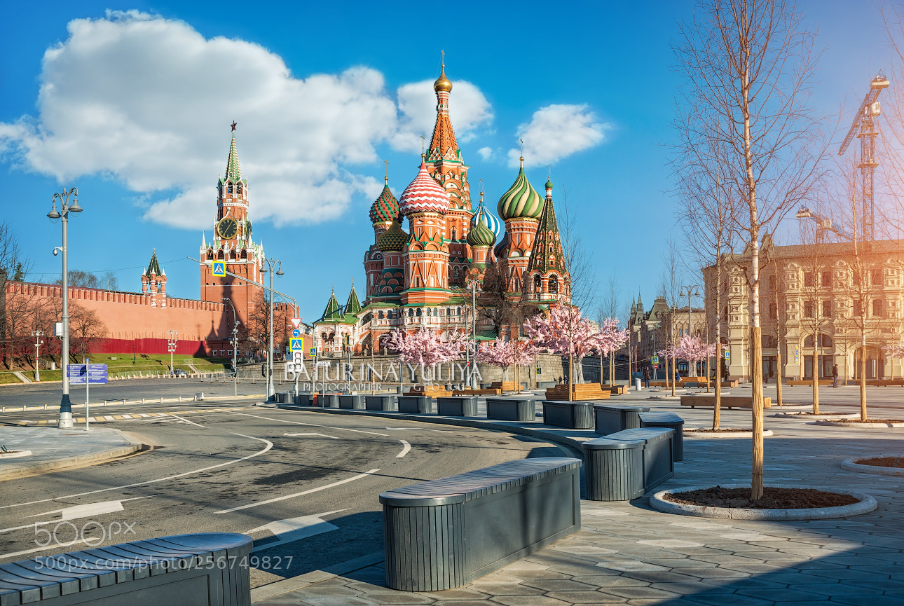 Nikon D800 sample photo. St. basil's cathedral and photography