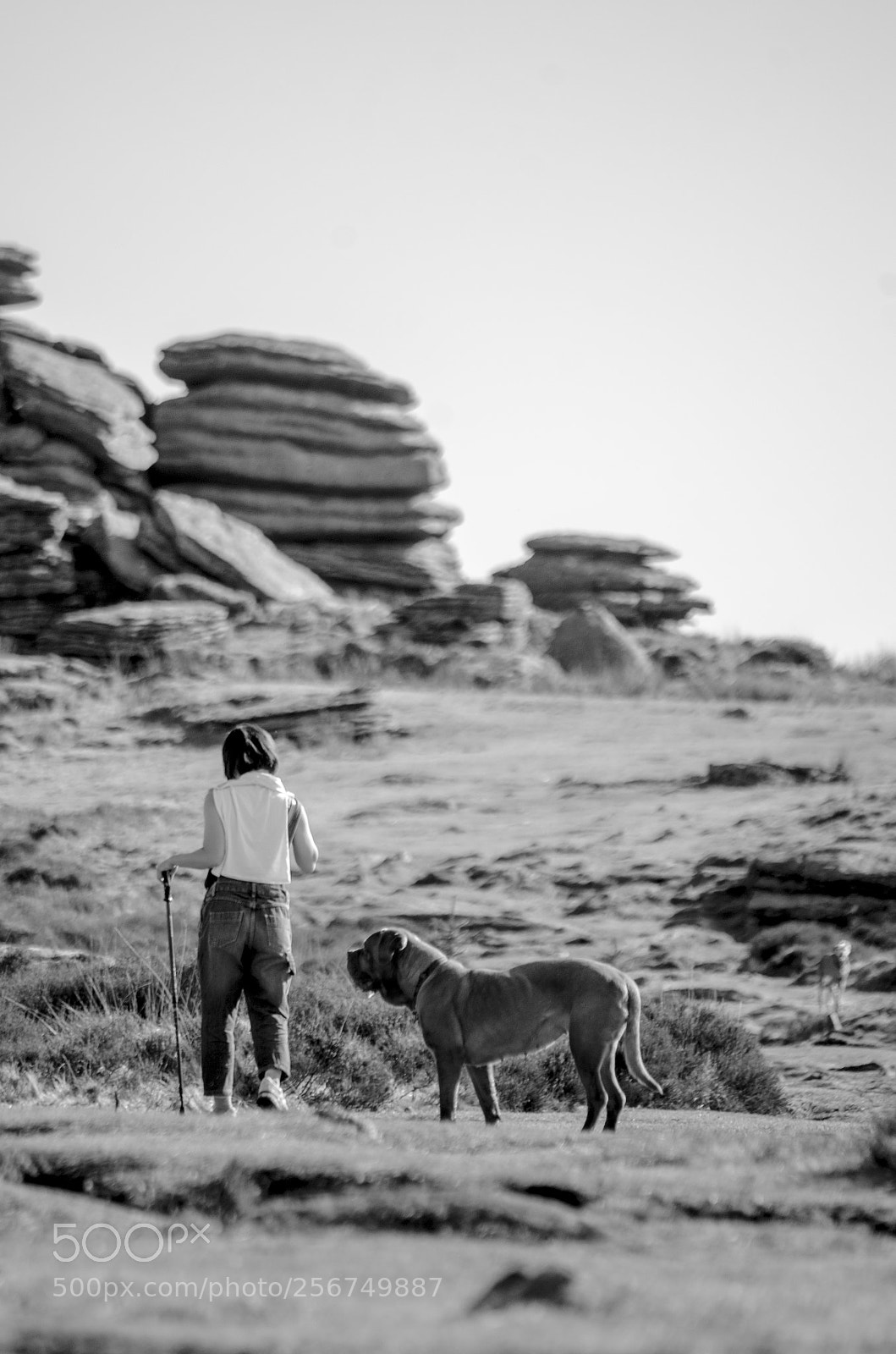 Nikon D7000 sample photo. Up the hill photography