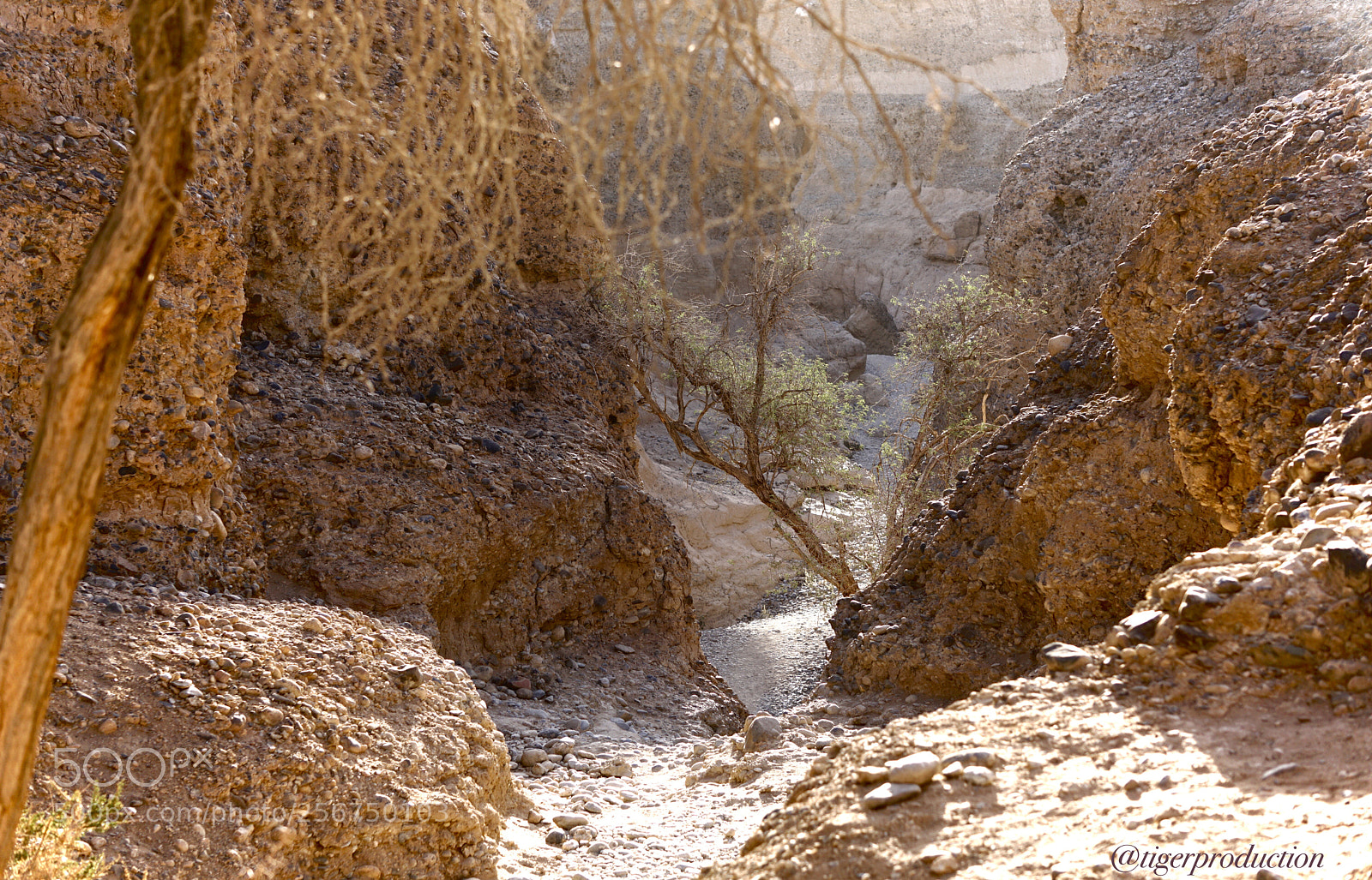 Sony a6000 sample photo. One mysterious path photography