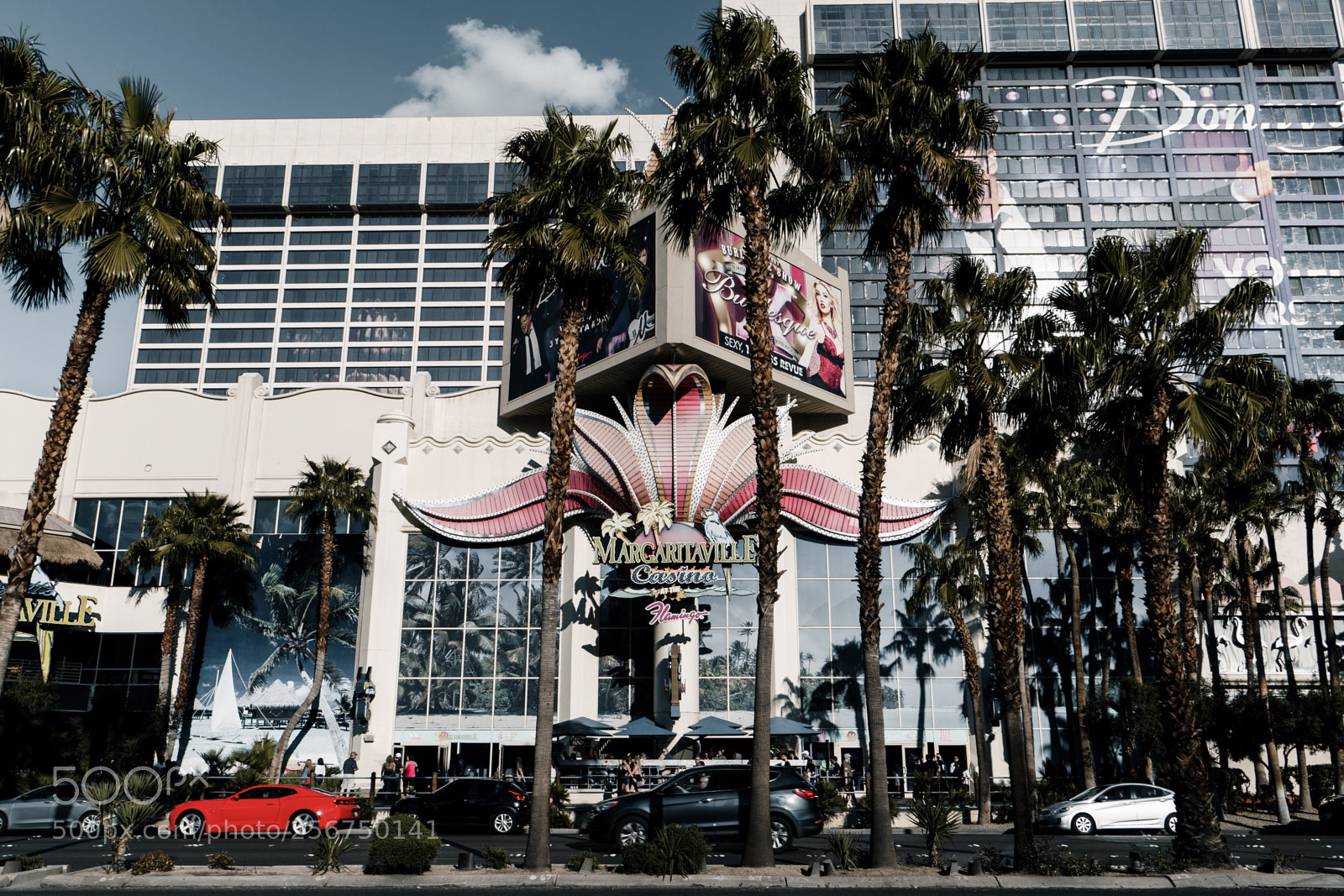 Sony a6300 sample photo. Flamingo photography