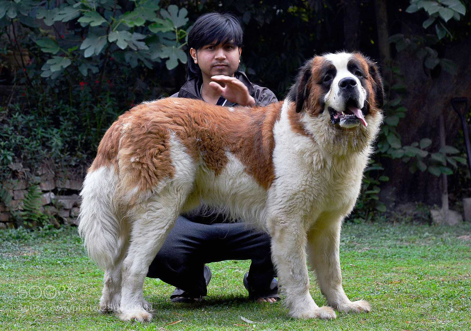Nikon D7100 sample photo. Untitled photography