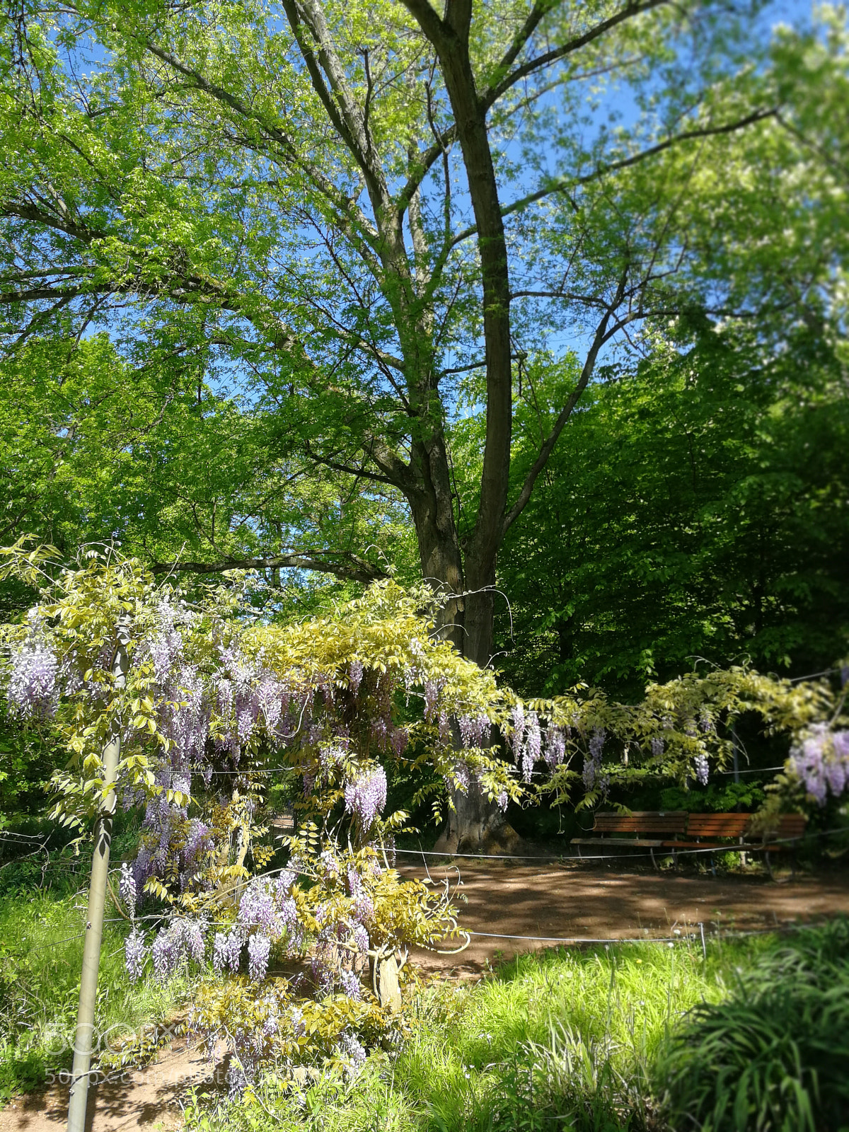 HUAWEI P10 sample photo. Untitled photography