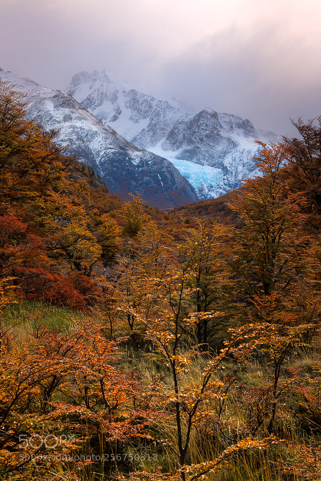 Canon EOS 760D (EOS Rebel T6s / EOS 8000D) sample photo. Glaciar piedras blancas photography