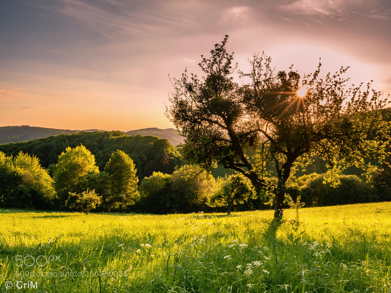 Olympus OM-D E-M5 II sample photo. Sunset photography