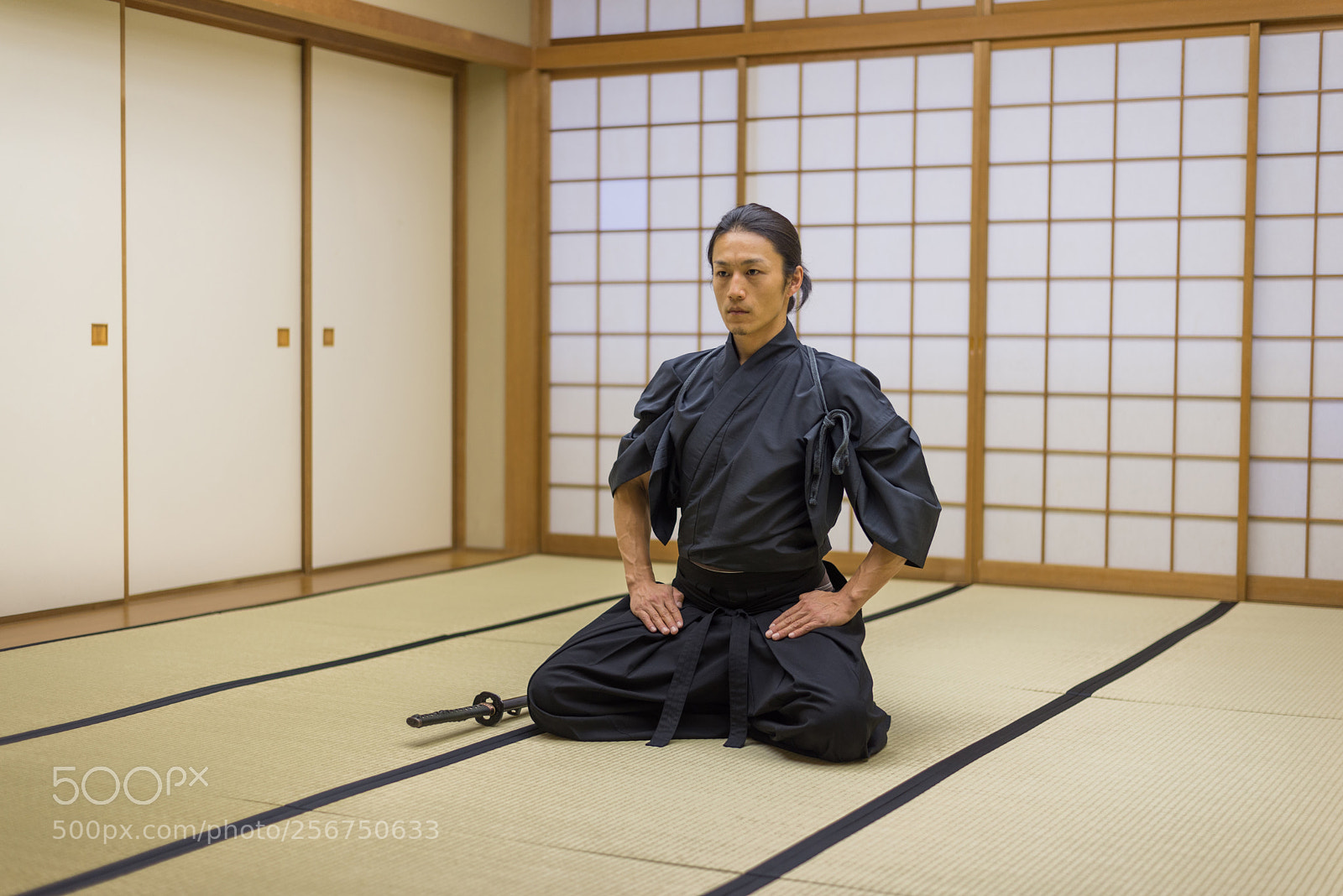Nikon D610 sample photo. Samurai training in a photography
