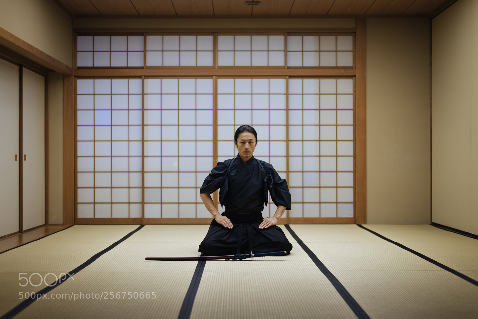 Nikon D610 sample photo. Samurai training in a photography