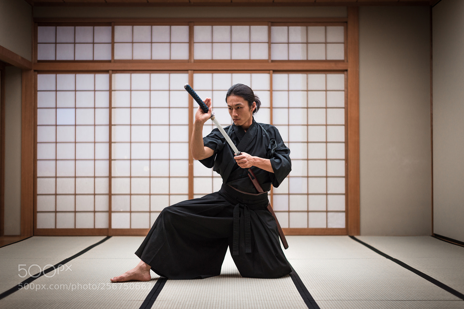 Nikon D610 sample photo. Samurai training in a photography