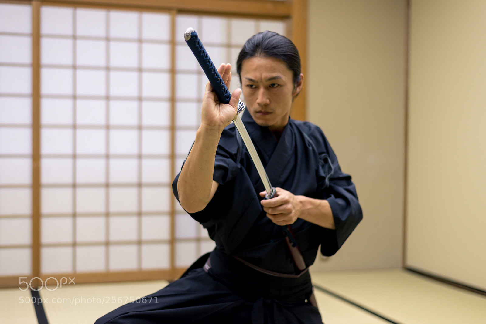 Nikon D610 sample photo. Samurai training in a photography