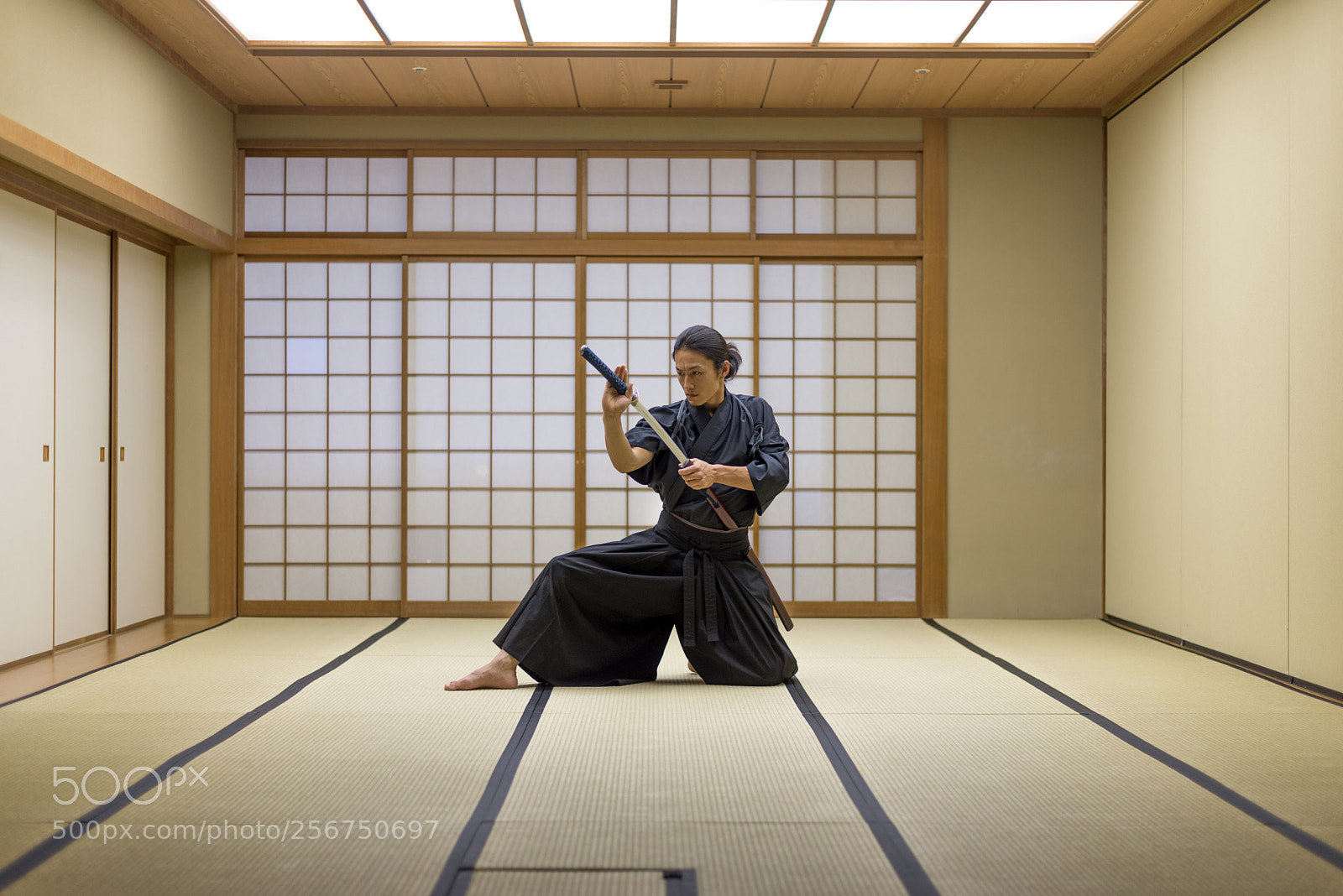 Nikon D610 sample photo. Samurai training in a photography