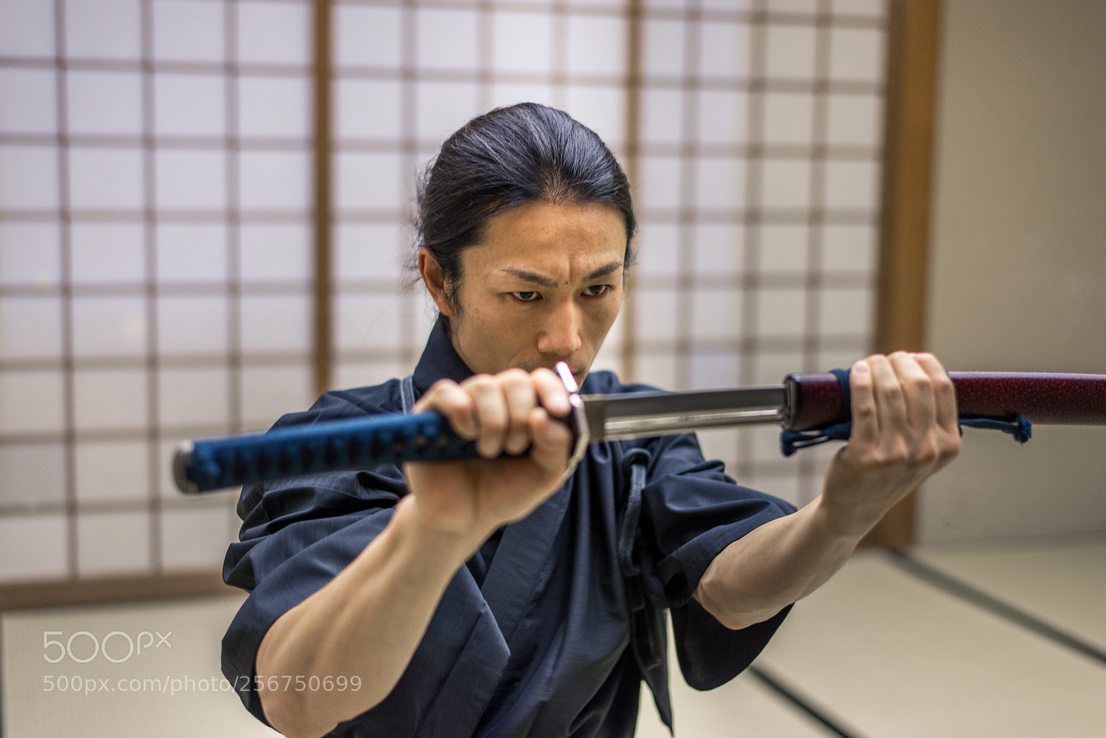 Nikon D610 sample photo. Samurai training in a photography