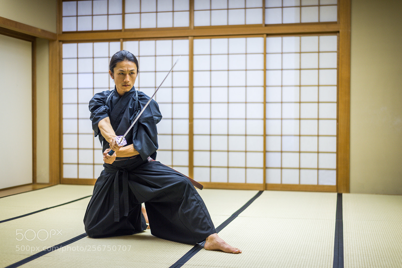 Nikon D610 sample photo. Samurai training in a photography