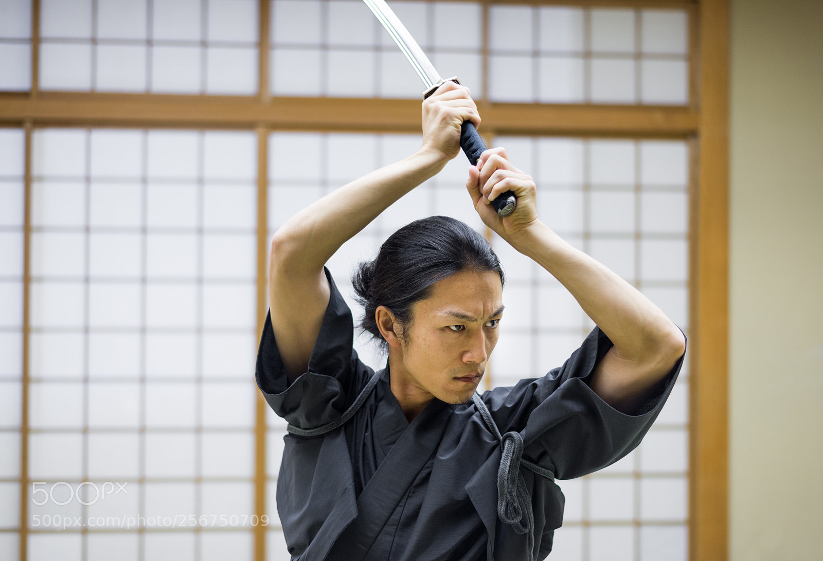 Nikon D610 sample photo. Samurai training in a photography