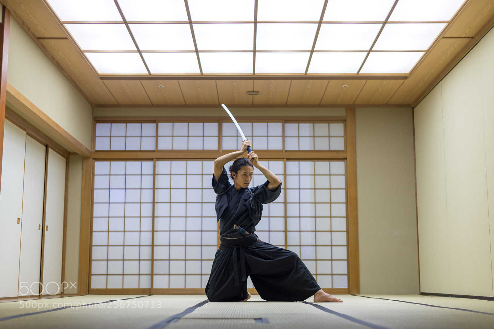 Nikon D610 sample photo. Samurai training in a photography