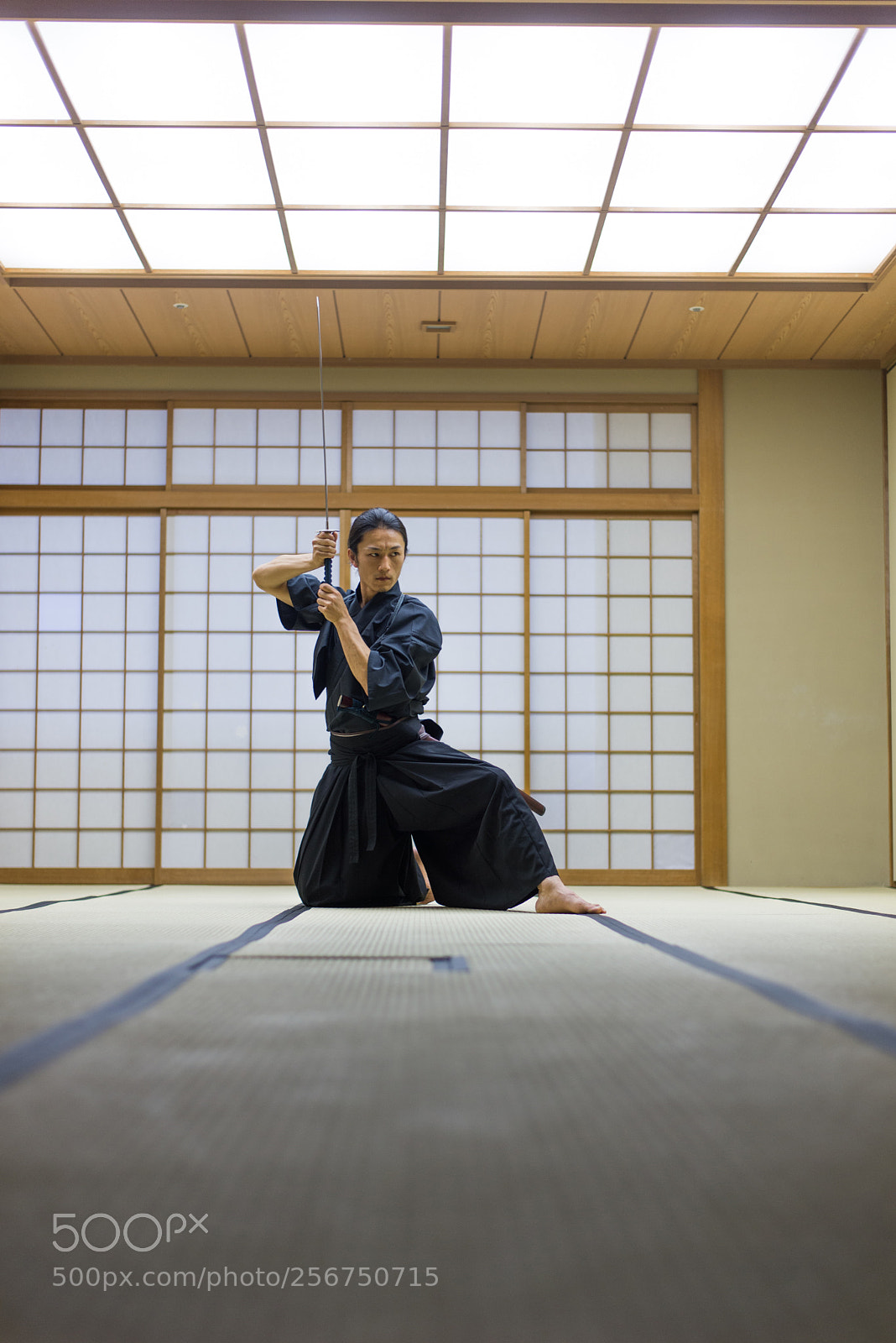 Nikon D610 sample photo. Samurai training in a photography