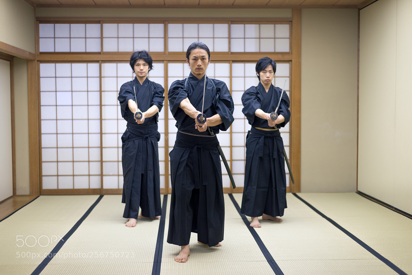 Nikon D610 sample photo. Samurai training in a photography