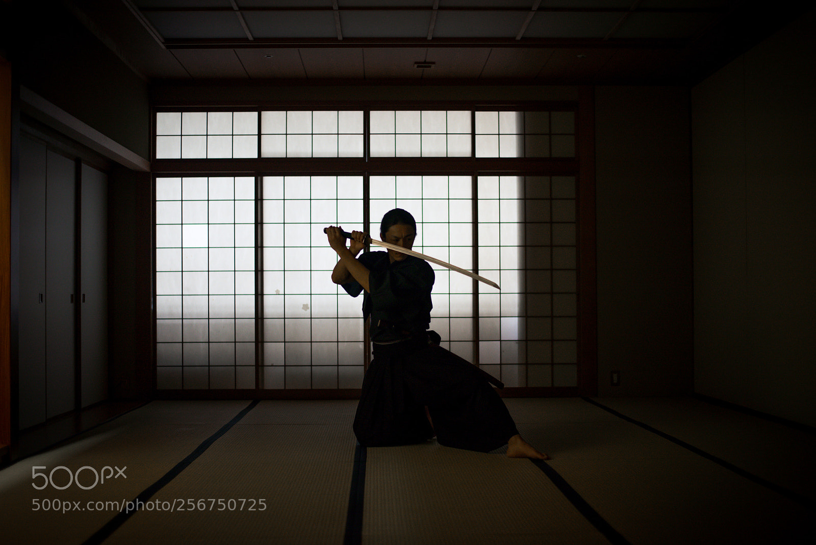 Nikon D610 sample photo. Samurai training in a photography