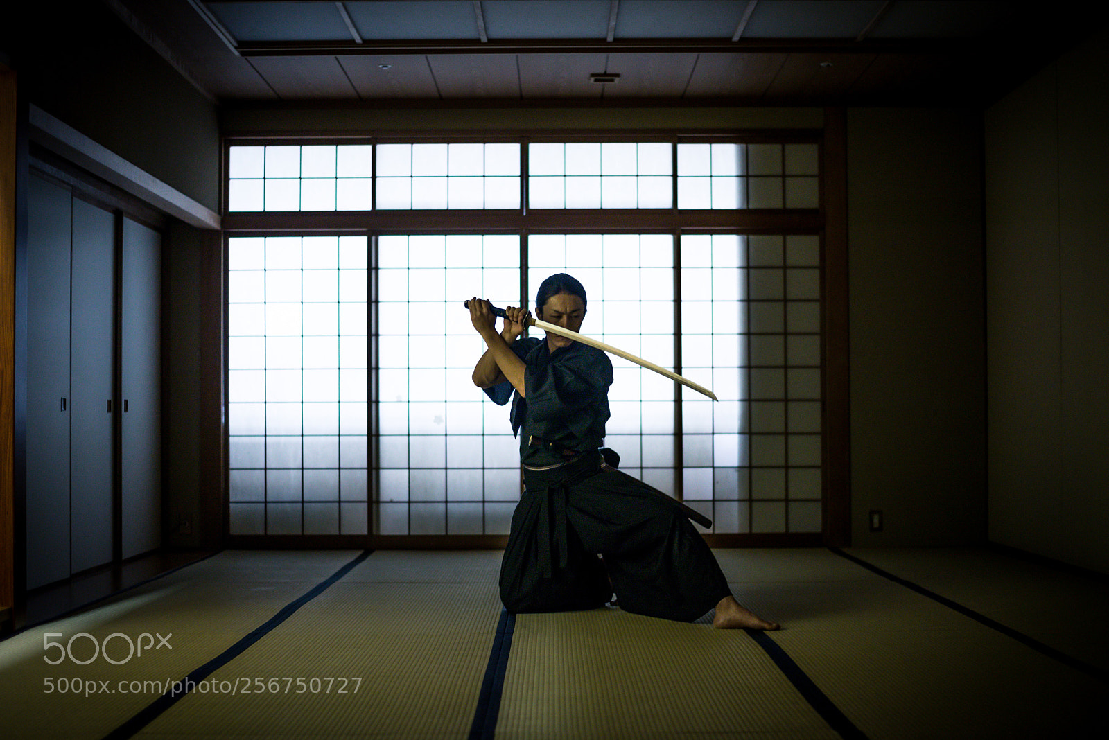 Nikon D610 sample photo. Samurai training in a photography