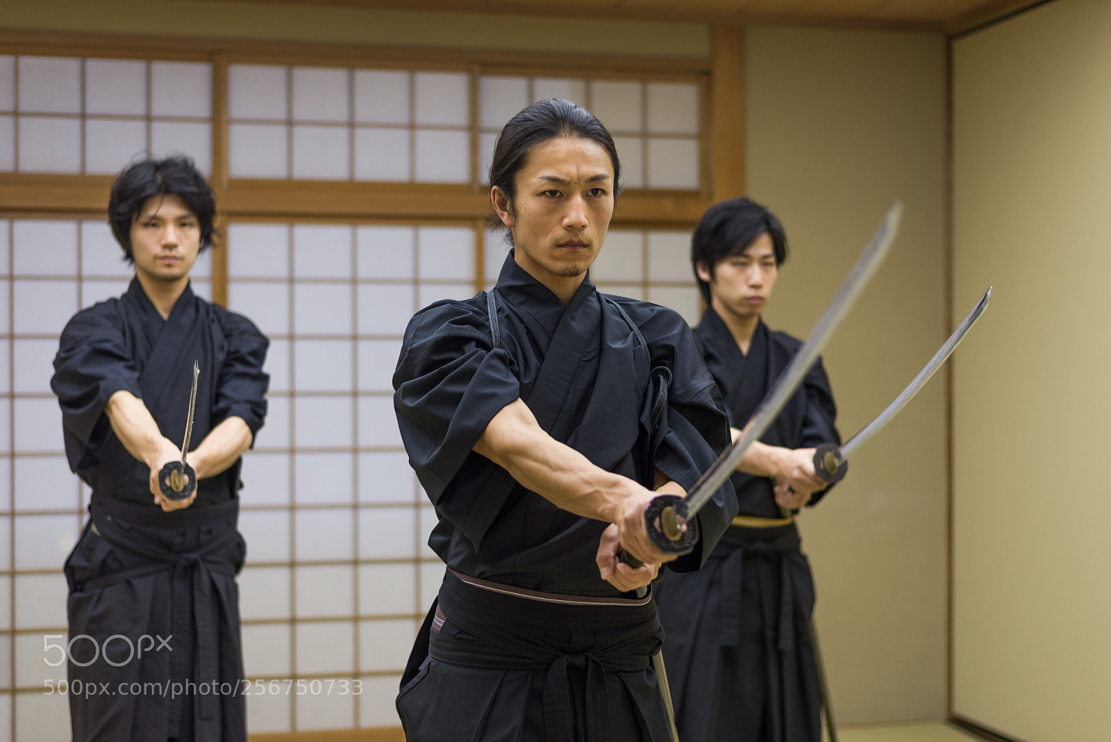 Nikon D610 sample photo. Samurai training in a photography