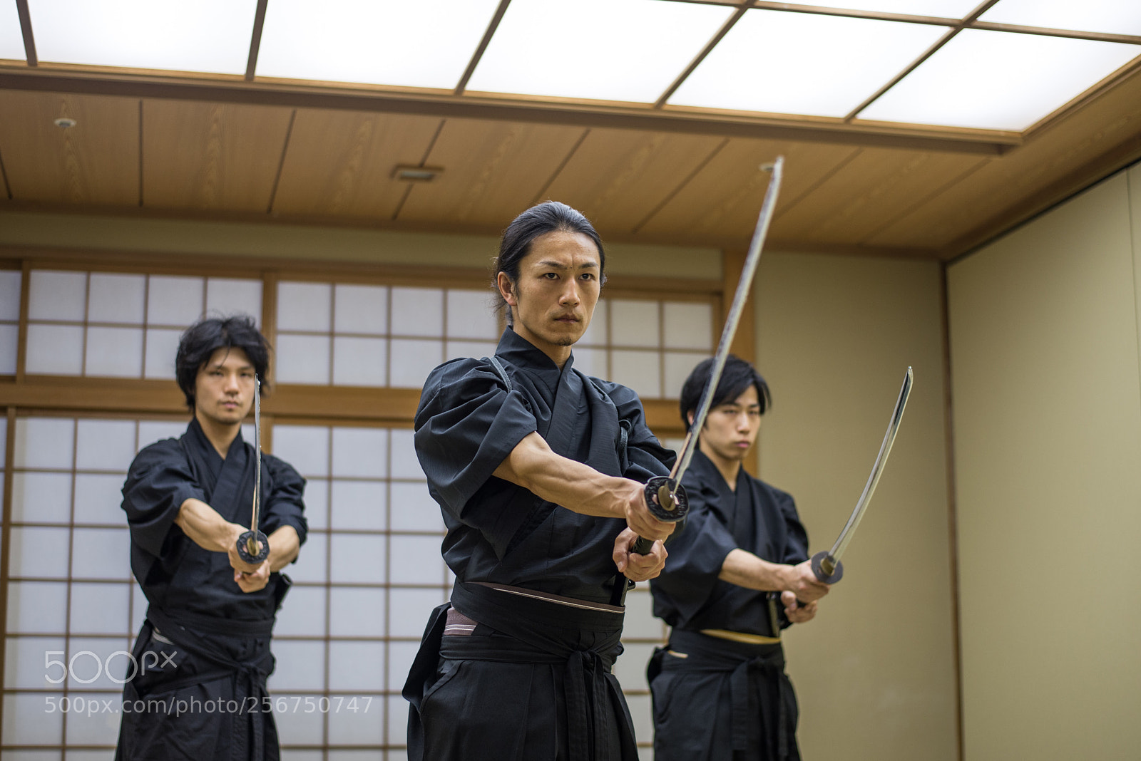 Nikon D610 sample photo. Samurai training in a photography