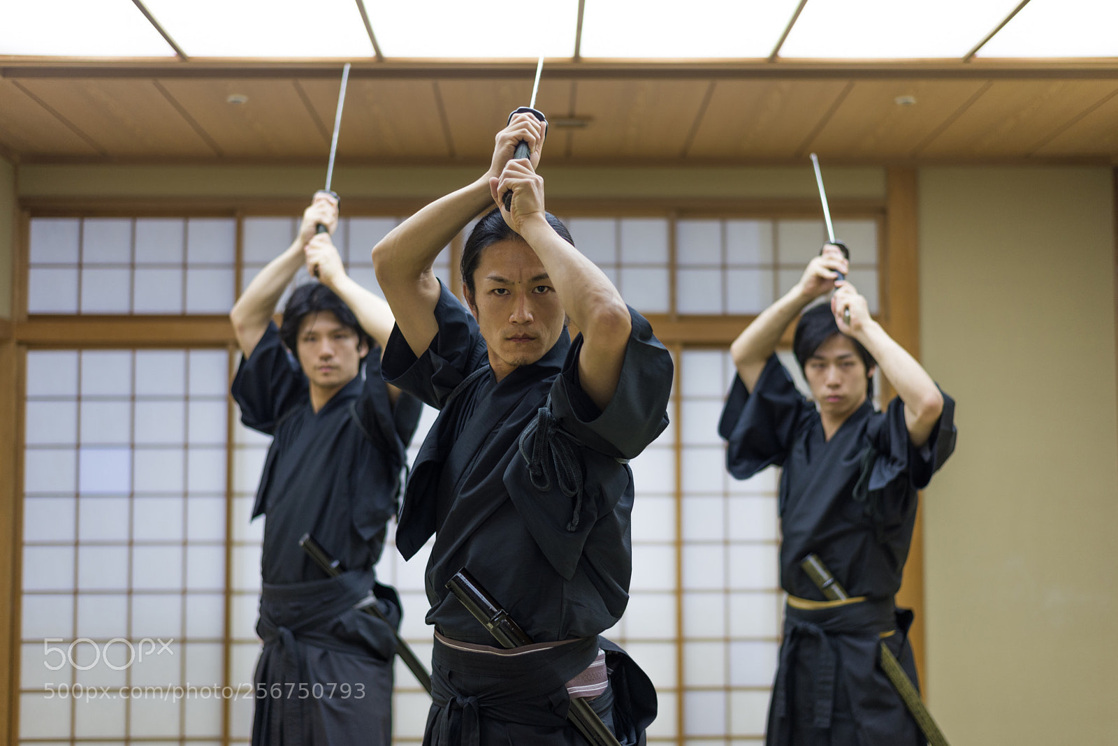 Nikon D610 sample photo. Samurai training in a photography