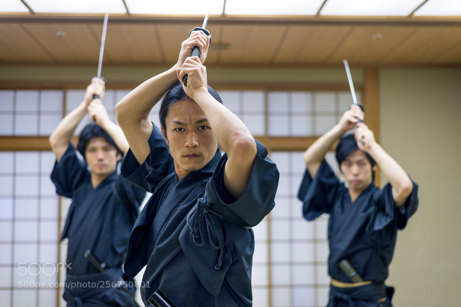 Nikon D610 sample photo. Samurai training in a photography