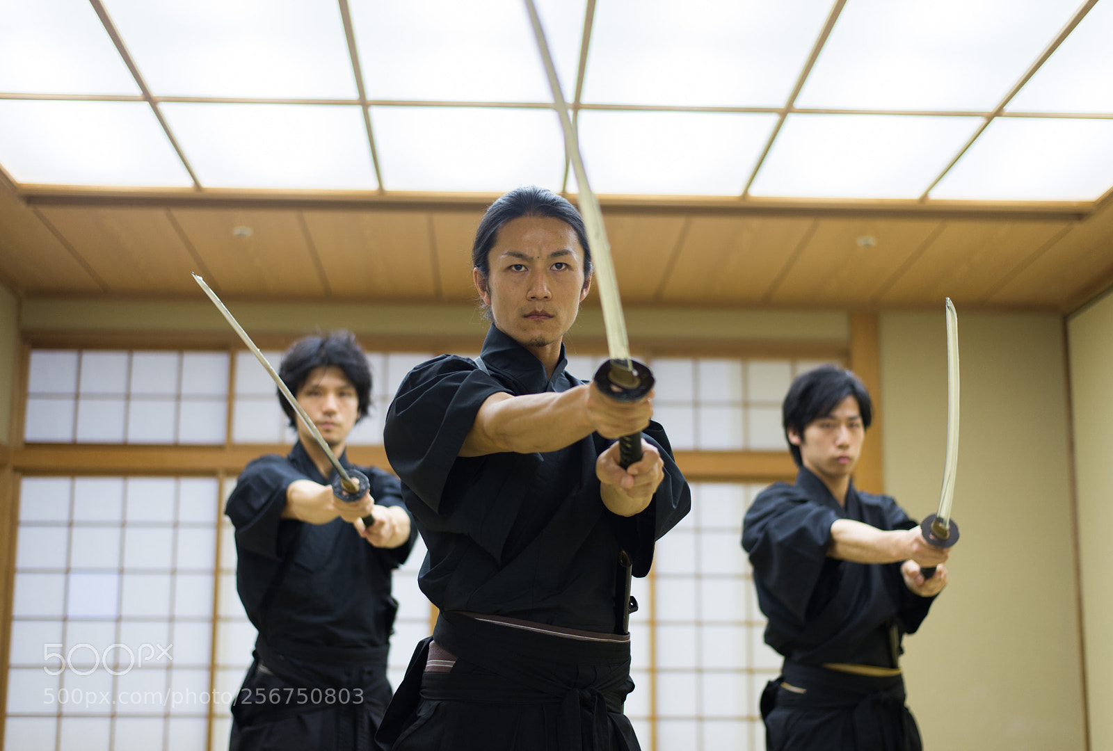 Nikon D610 sample photo. Samurai training in a photography