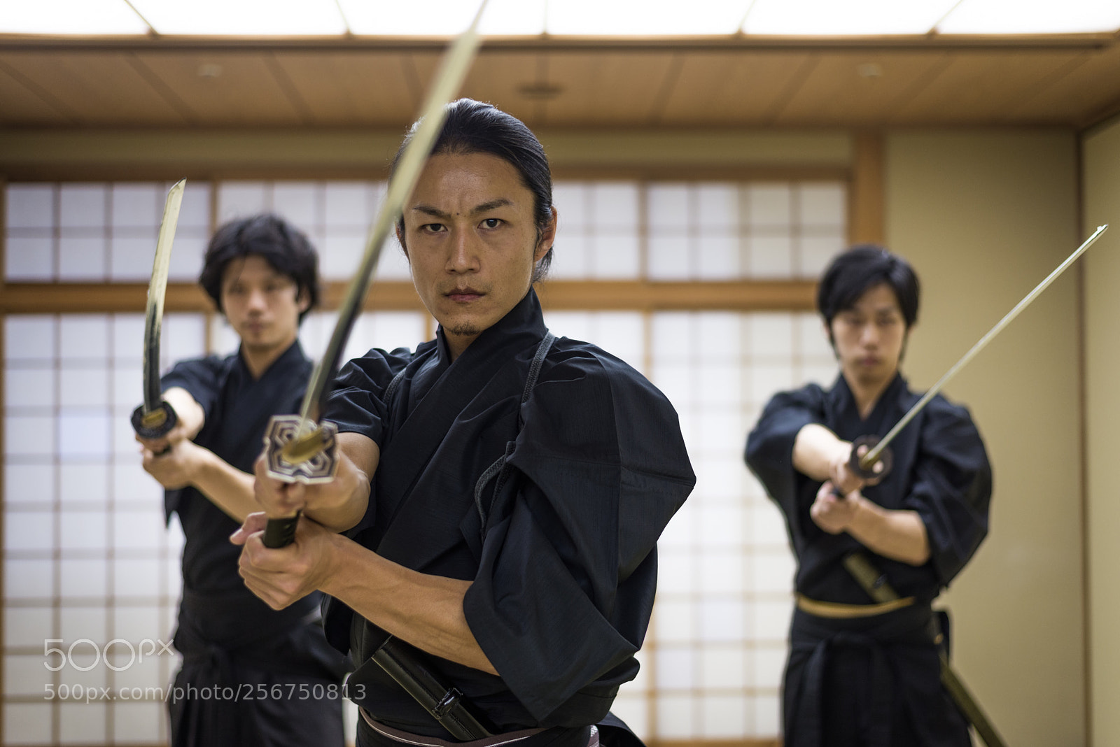 Nikon D610 sample photo. Samurai training in a photography