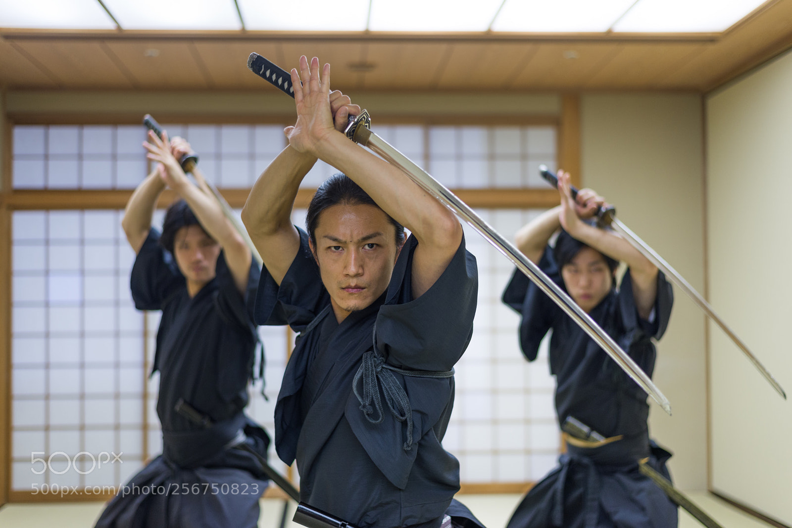 Nikon D610 sample photo. Samurai training in a photography
