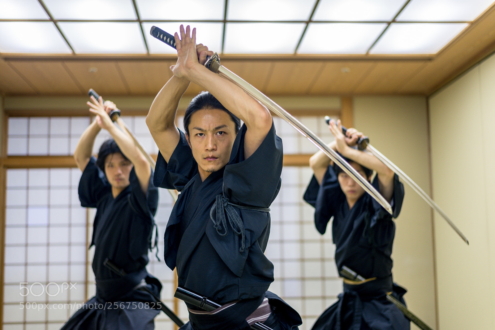 Nikon D610 sample photo. Samurai training in a photography