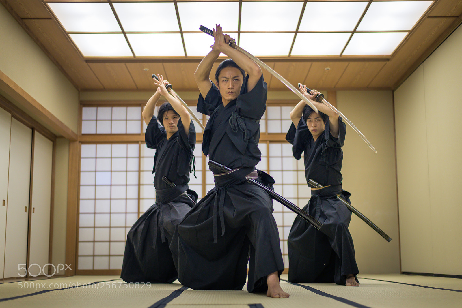 Nikon D610 sample photo. Samurai training in a photography