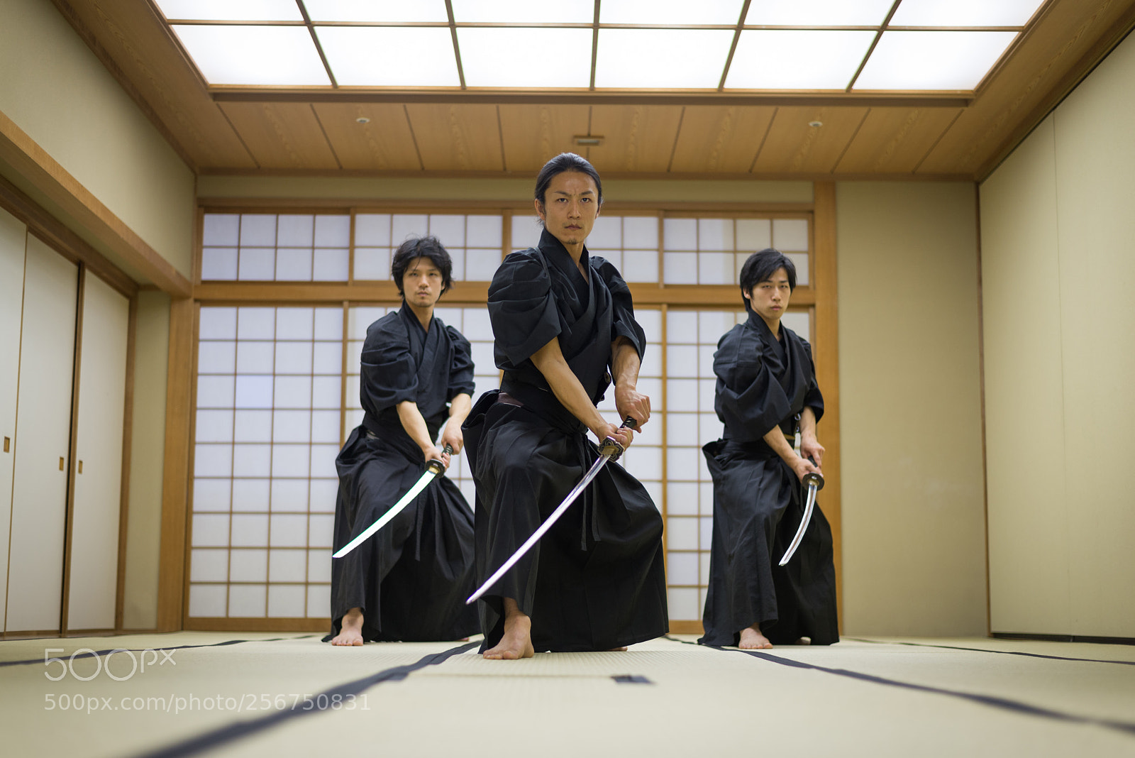 Nikon D610 sample photo. Samurai training in a photography