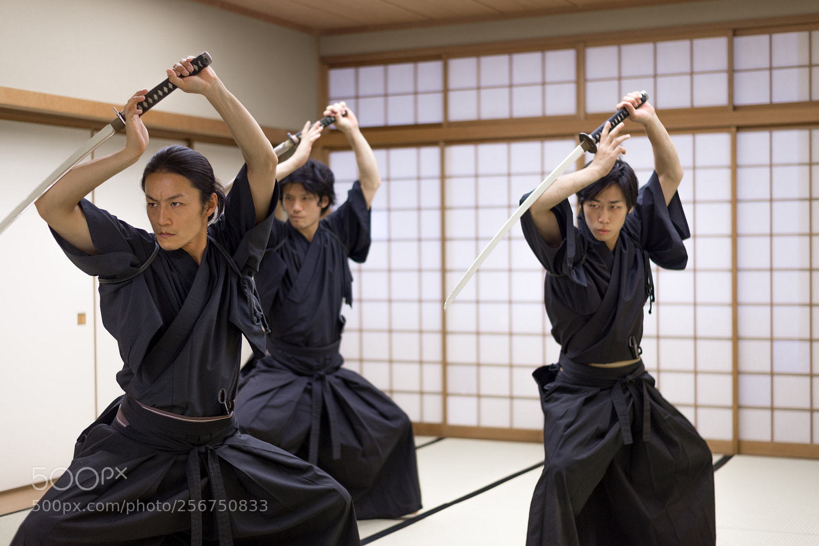 Nikon D610 sample photo. Samurai training in a photography