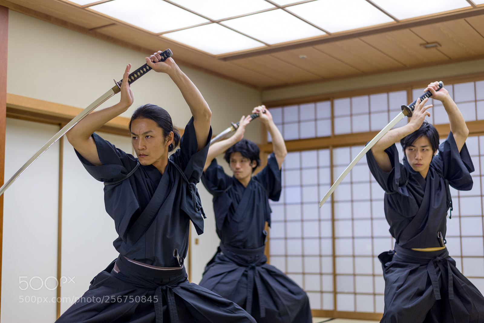 Nikon D610 sample photo. Samurai training in a photography