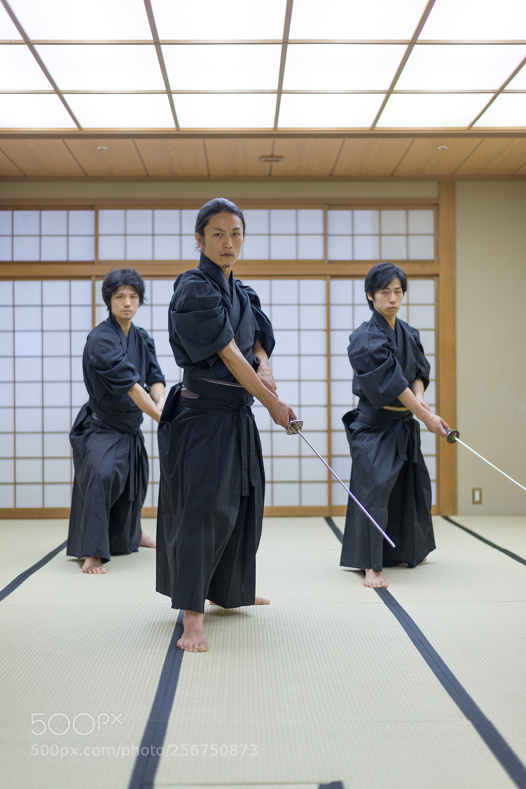 Nikon D610 sample photo. Samurai training in a photography
