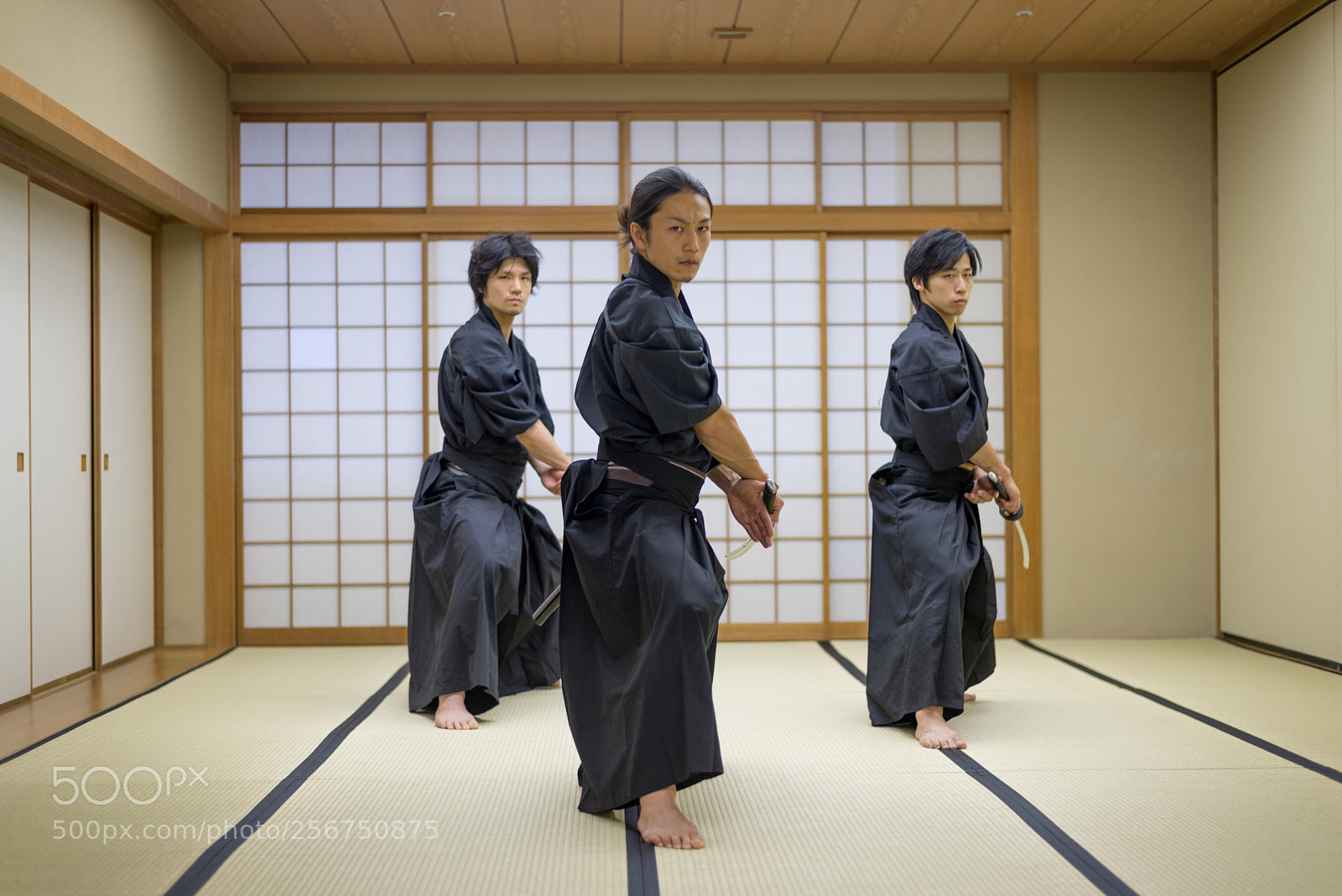 Nikon D610 sample photo. Samurai training in a photography