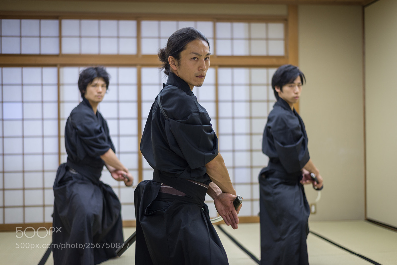 Nikon D610 sample photo. Samurai training in a photography