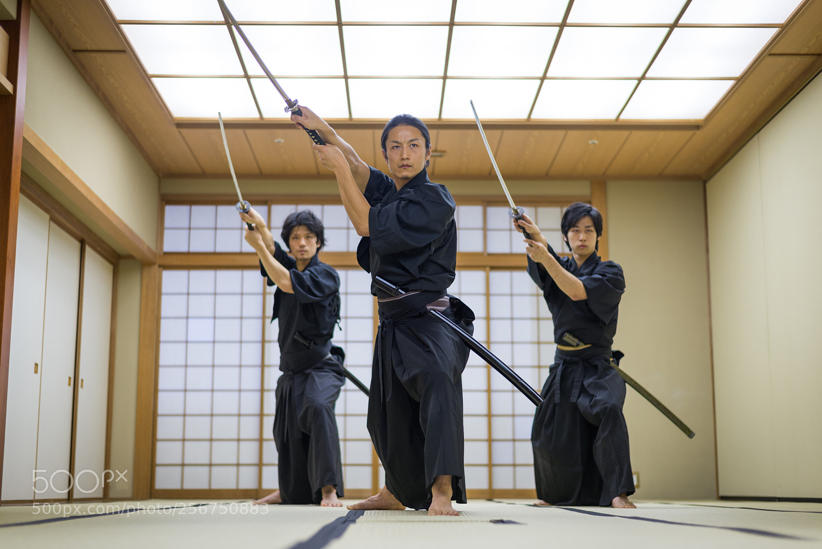 Nikon D610 sample photo. Samurai training in a photography