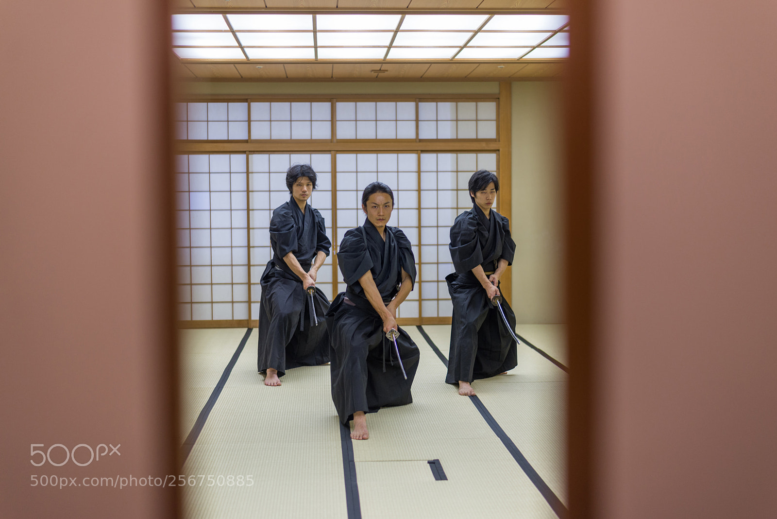 Nikon D610 sample photo. Samurai training in a photography