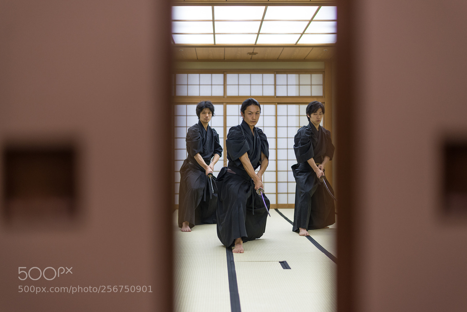 Nikon D610 sample photo. Samurai training in a photography