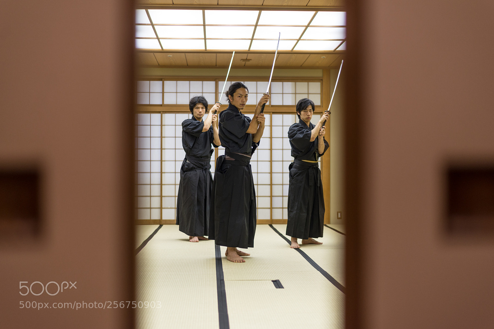 Nikon D610 sample photo. Samurai training in a photography