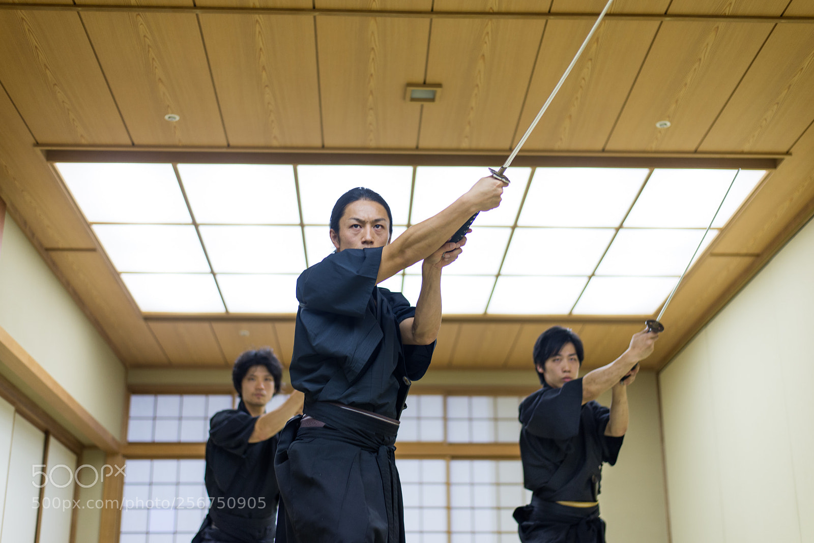Nikon D610 sample photo. Samurai training in a photography