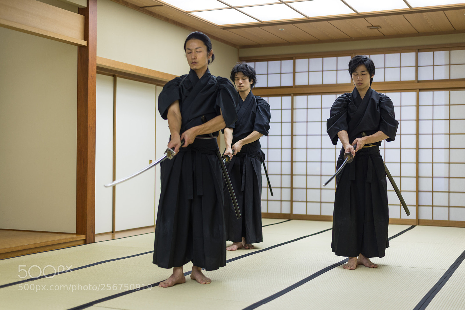 Nikon D610 sample photo. Samurai training in a photography